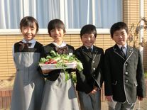 EIKOファームでの収穫