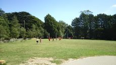 Together we make a difference.