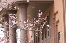 平成２８年度スタート！