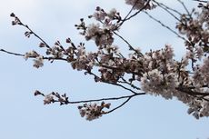 １００万アクセス突破！