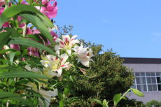 夏休みを振り返って