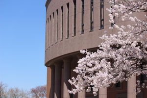 EIKOの春【シンボルツリー＆講堂】