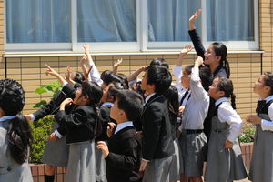 さよならモンシロチョウ【理科教育】