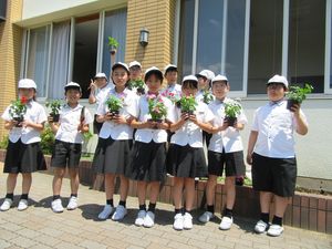 花壇を明るく！【委員会活動】