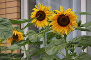 楽しかった１週間　【学校生活】