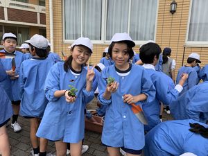 花いっぱいの学校にしよう！【学校美化】