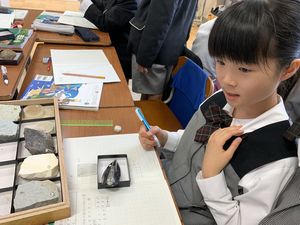 化石時代にタイムトラベル！！5年生　【理数教育】