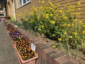 きれいな学校で待ってます！　【環境美化】