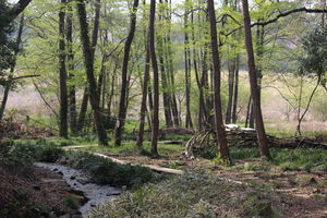 環境省「ローカルSDGｓ」活動団体に登録されました　【環境教育】