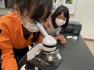 細胞を観察しよう！　【理数教育】