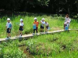 EIKOの泉で自然観察！【理数教育】