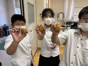 まもなく実りの秋です！【理数教育】