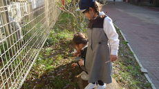 アフタースクール　創作