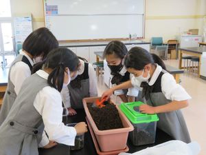 生きものとふれあおう！【理数教育】