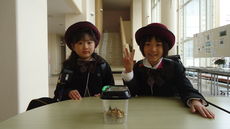 小さな大ニュース