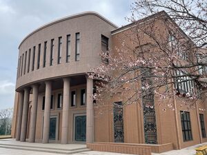 桜が咲き始めました！　【校内環境】