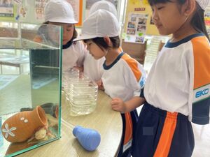 学校大好き！　【学校生活】