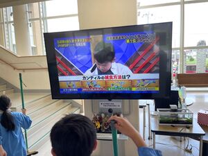 めざせ博士ちゃん！！　【メディア出演】
