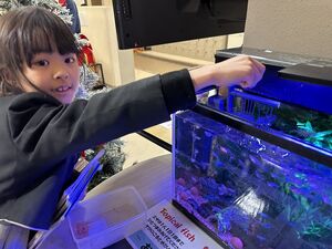 熱帯魚大好き！　【EIKOアクアリウム】