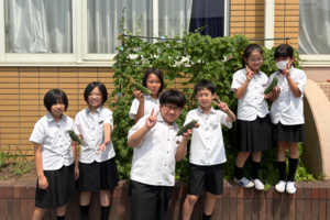ゴーヤを収穫しました！（4年生）