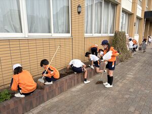 清掃ボランティアを実施しました【奉仕作業】