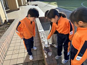 1年生　「こおりをつくろう」　授業風景
