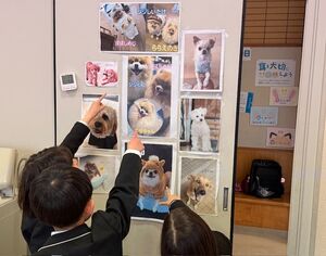 保健室の癒しコーナー