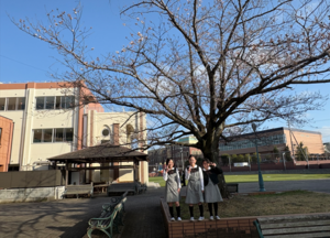 桜が咲きはじめました！