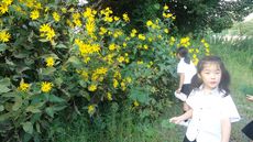 アフタースクール　俳句教室