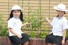 植物が育ってきました