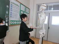 骨格標本　３年理科