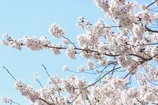 平成26年度　第１学期始業式