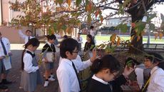 チャレンジ国語　短歌創作