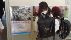 ユニセフパネル展