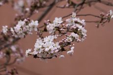 平成２７年度　スタート！