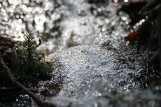 「英宏の泉」披露・自然観察会の開催