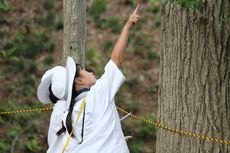 創作教室ｉｎ英宏の泉