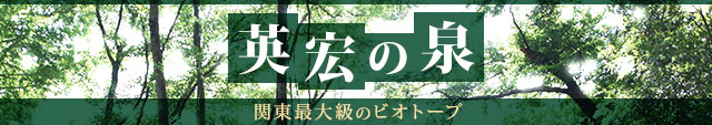 英宏中学校科学部 英宏の泉 関東最大級のビオトープ