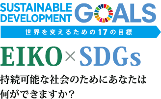 sustaiable development goals 世界を変えるための17の目標 これからのスタンダード「SDGs」への挑戦